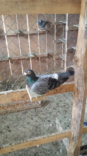 20140825_110624; 4 barselona clasate pana in locul 10;)
