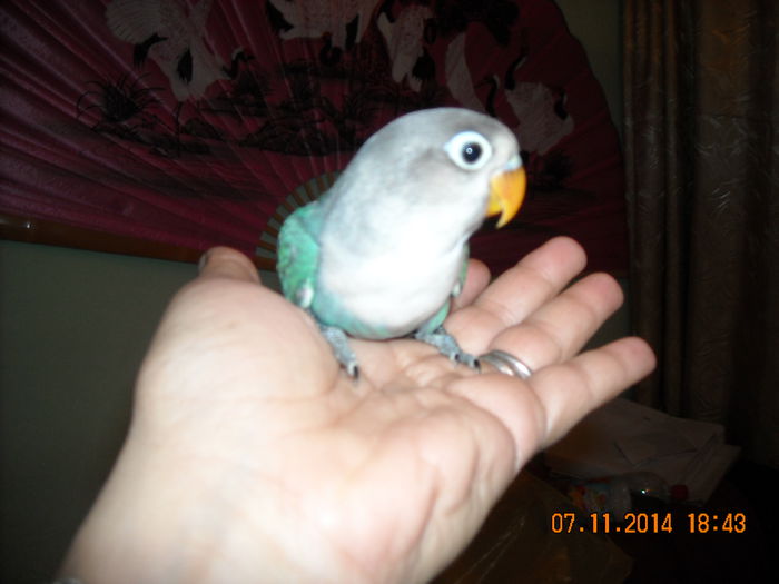 DSCN0064