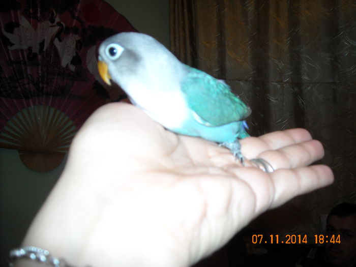 DSCN0065