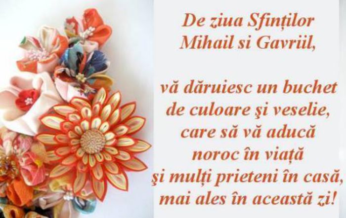 10501815_794867250552347_6188254373006148027_n - De Mihail si Gavril la multi ani