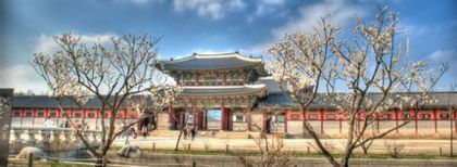 Eniko a plecat sa planga