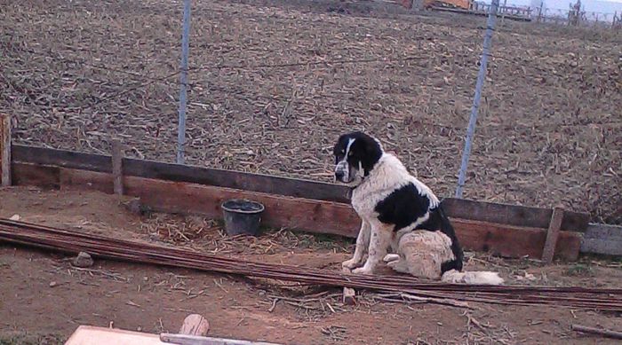 IMG_20141108_155458-1