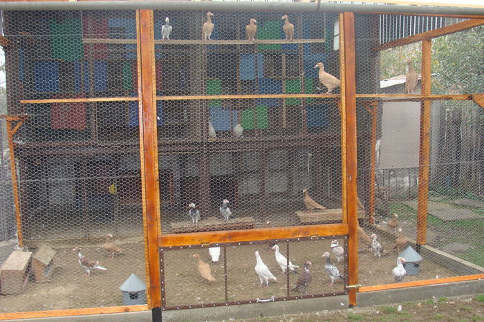 DSC02870 - carieri octombrie2014