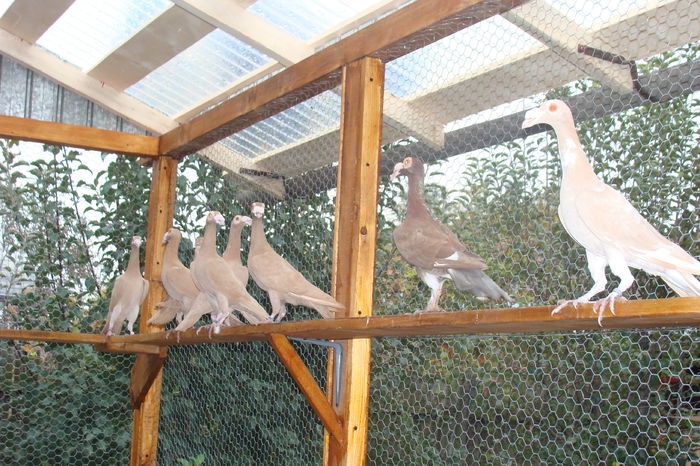DSC02883 - carieri octombrie2014