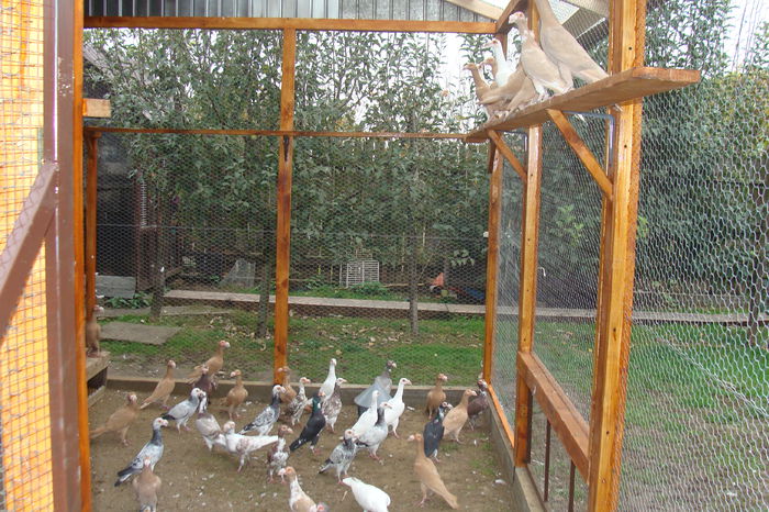DSC02889 - carieri octombrie2014