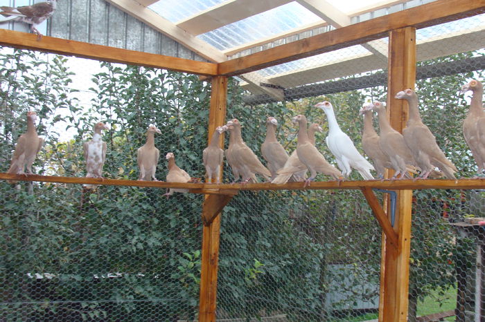 DSC02898 - carieri octombrie2014