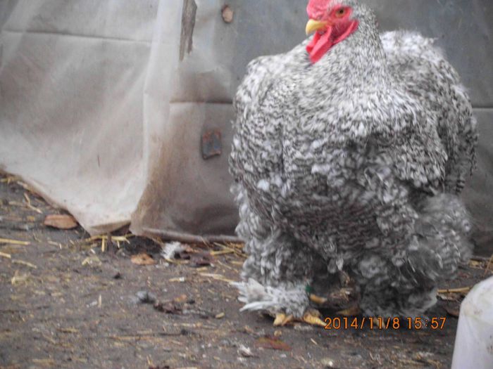 10511626_1561532084080591_5737983914450036993_o