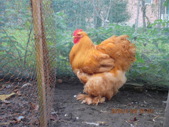 10634014_1561567714077028_3619104293056327275_o