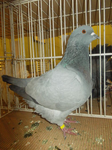 DSCN0938