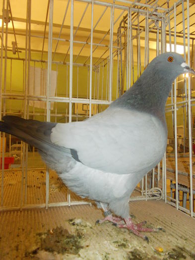 DSCN0940