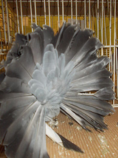DSCN0941