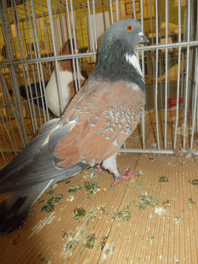 DSCN0956