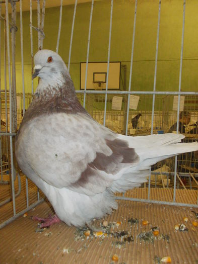 DSCN0959