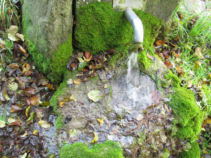  - Diverse 1 - Plimbari