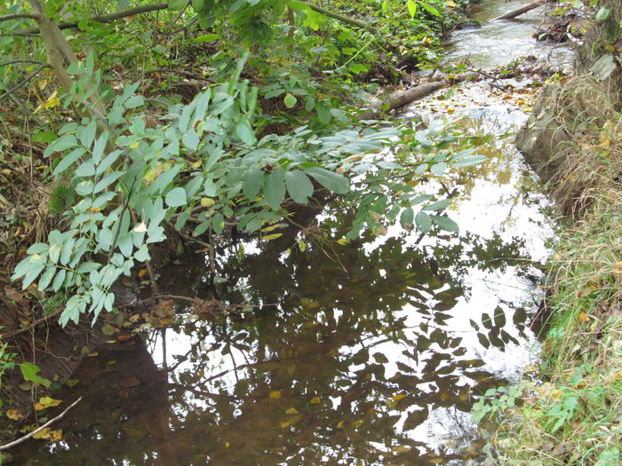  - Diverse 1 - Plimbari