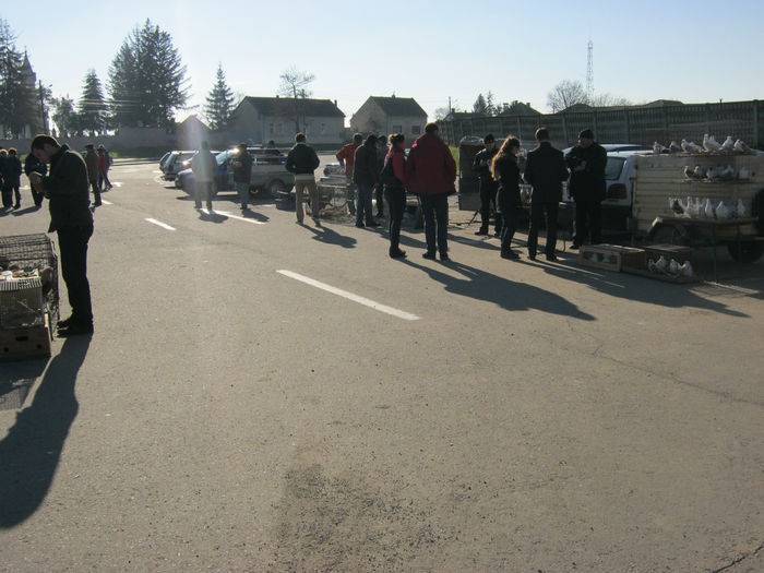 IMG_9513 - EXPO-2013-SANNICOLAU MARE