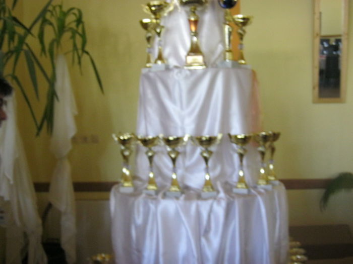 IMG_9526 - EXPO-2013-SANNICOLAU MARE