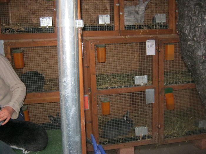 IMG_9530 - EXPO-2013-SANNICOLAU MARE