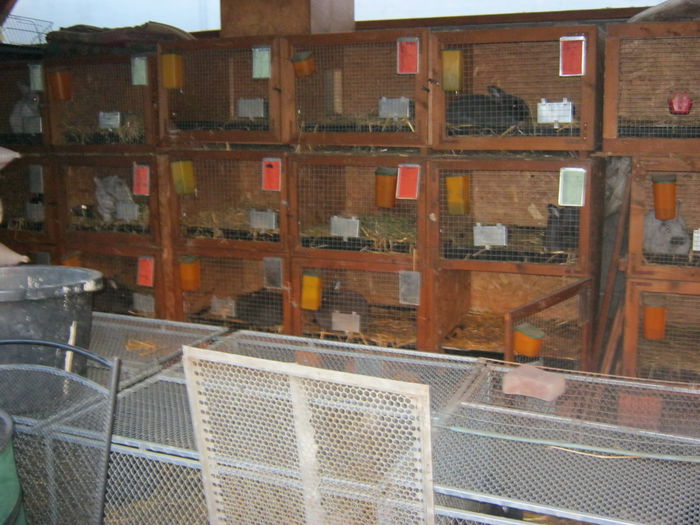 IMG_9531 - EXPO-2013-SANNICOLAU MARE