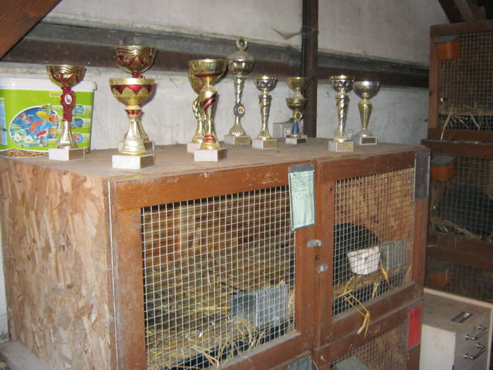 IMG_9534 - EXPO-2013-SANNICOLAU MARE