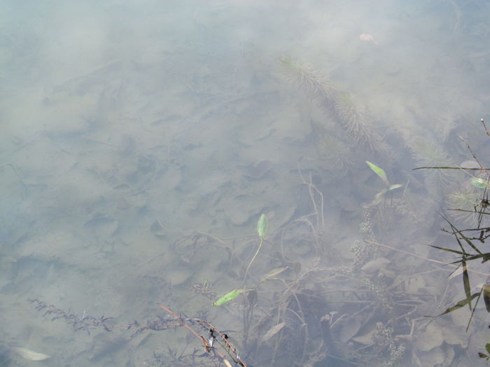  - Diverse 1 - Plimbari