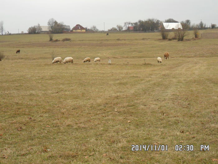 SAM_0129