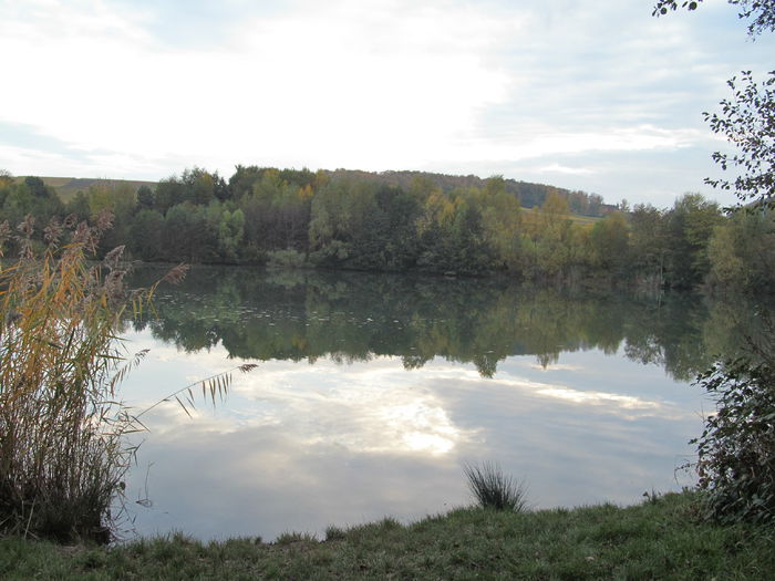  - Diverse 1 - Plimbari