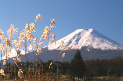 FUJI[1]