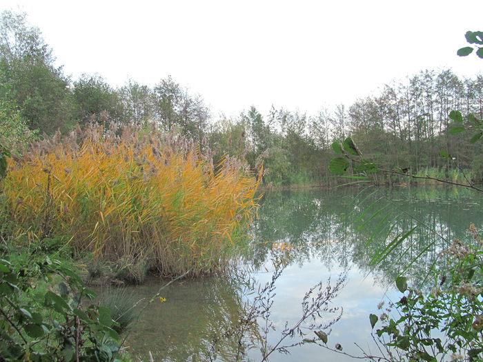  - Diverse 1 - Plimbari