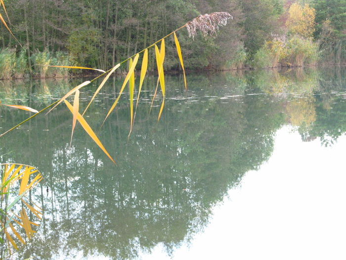  - Diverse 1 - Plimbari