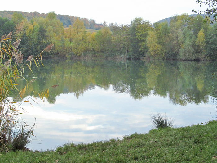  - Diverse 1 - Plimbari