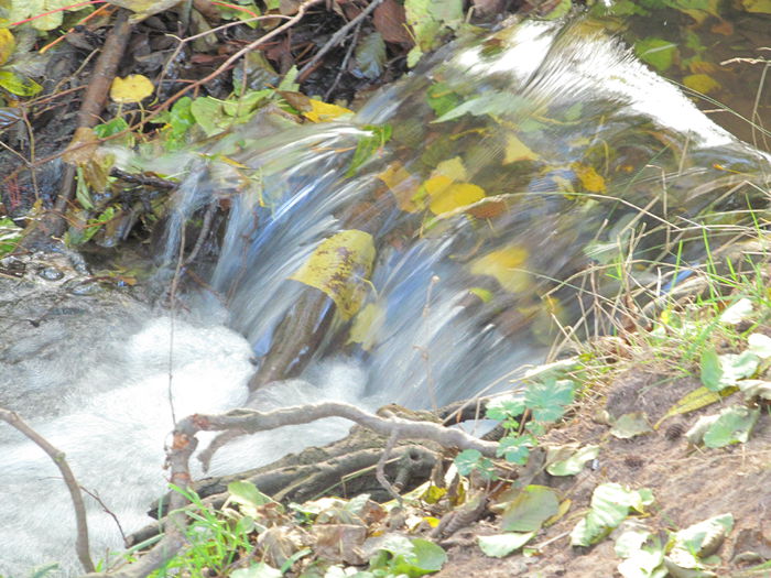 piriul 5 - Diverse 1 - Plimbari