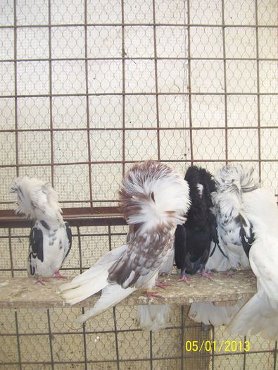 maria stuart 100_8640