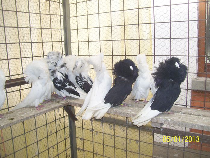 maria stuart 100_8643