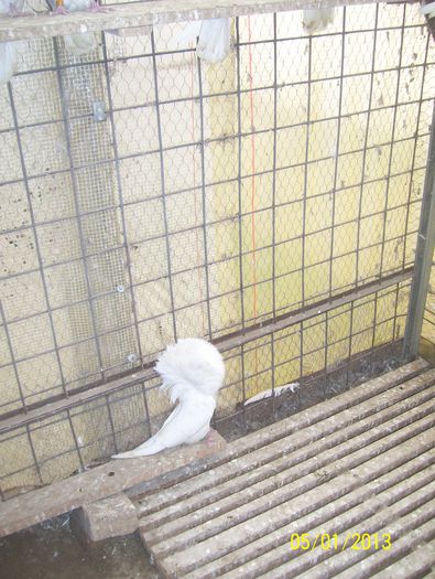 maria stuart 100_8646