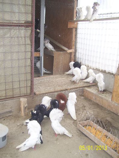 maria stuart 100_8647