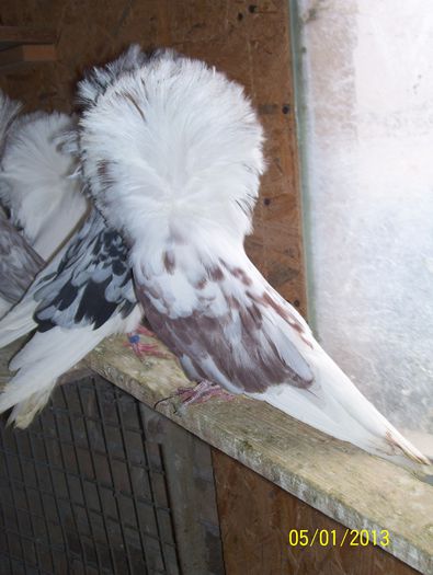 maria stuart 100_8613