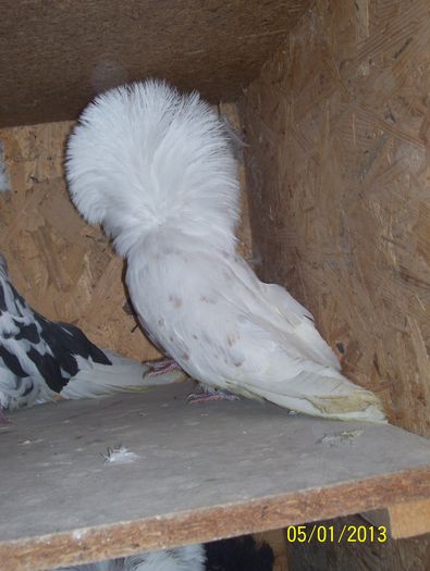 maria stuart 100_8617