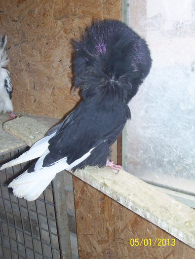 maria stuart 100_8619