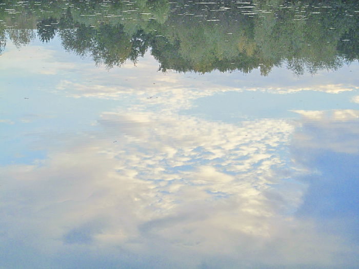  - Diverse 1 - Plimbari