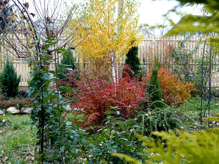 A trecut intai o boare...