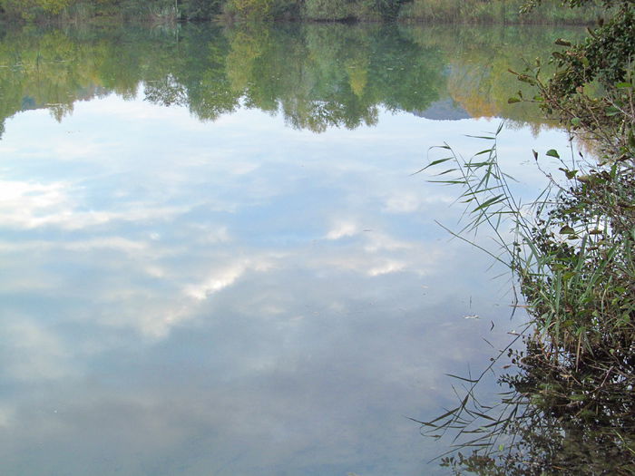  - Diverse 1 - Plimbari