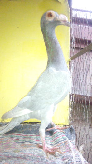 achizitii carieri 2014 001