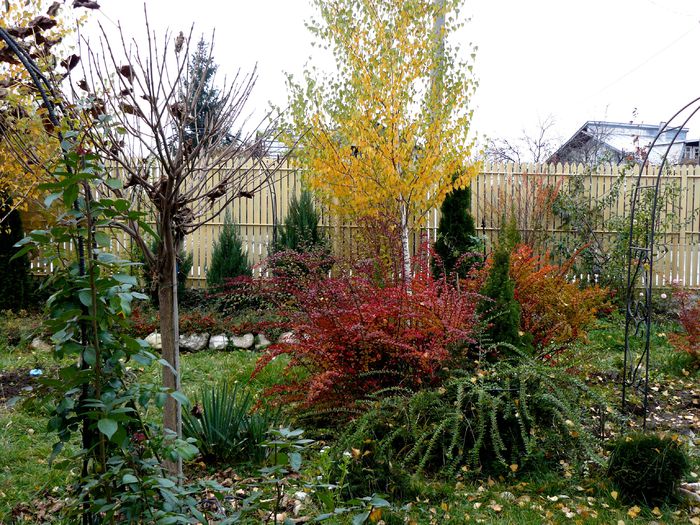 Si-a furat de prin ponoare