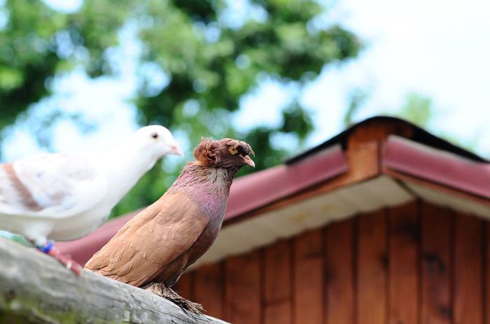 10443782_10203800754091028_752741118_n