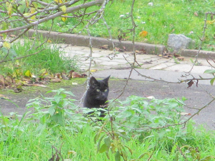  - Diverse 3 - Diverse