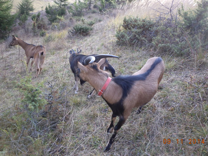 Cercetarea locurilor noi