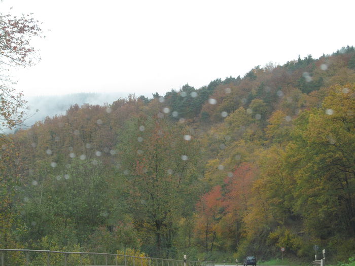  - Diverse 1 - Plimbari