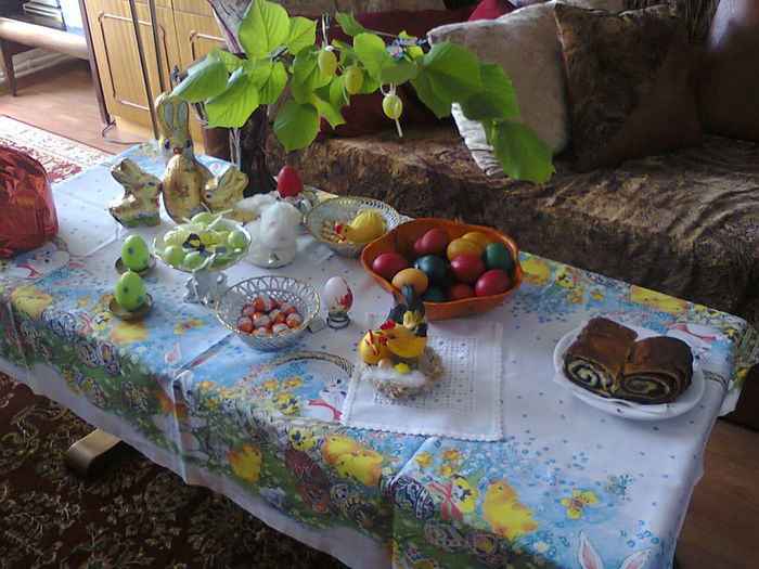 Poze din telefon 001