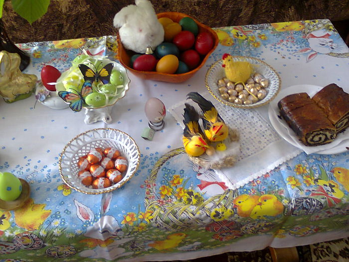 Poze din telefon 004